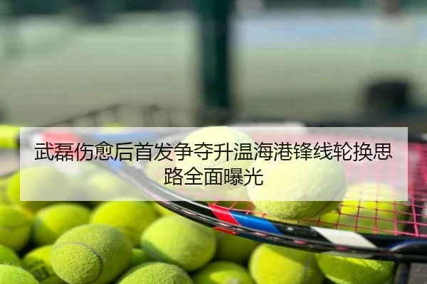 武磊伤愈后首发争夺升温海港锋线轮换思路全面曝光